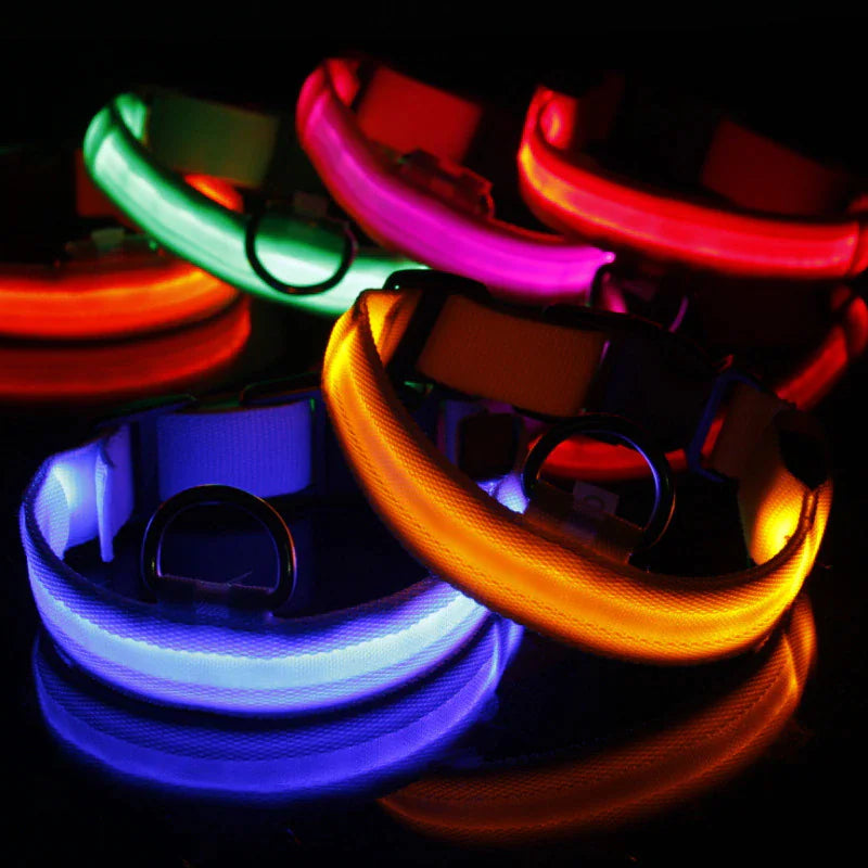 TrailPuppies™ LED Glow Safety Dog Collar