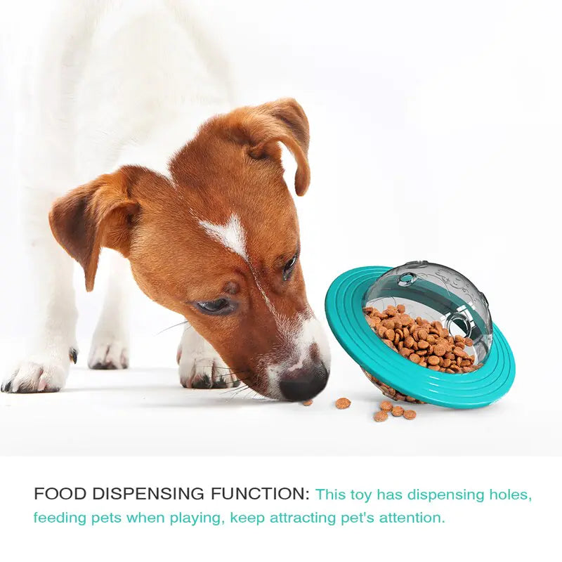 Rotating Disc Dog Toy - Bite Resistant Interactive Frisbee
