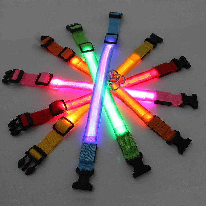 TrailPuppies™ LED Glow Safety Dog Collar