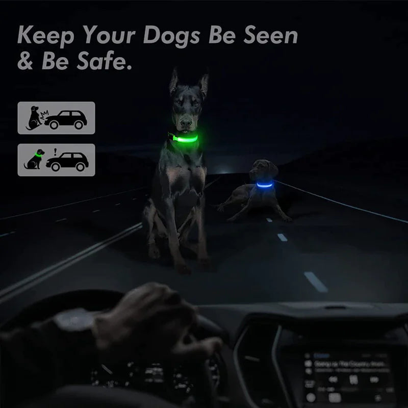 TrailPuppies™ LED Glow Safety Dog Collar