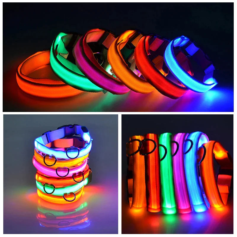 TrailPuppies™ LED Glow Safety Dog Collar