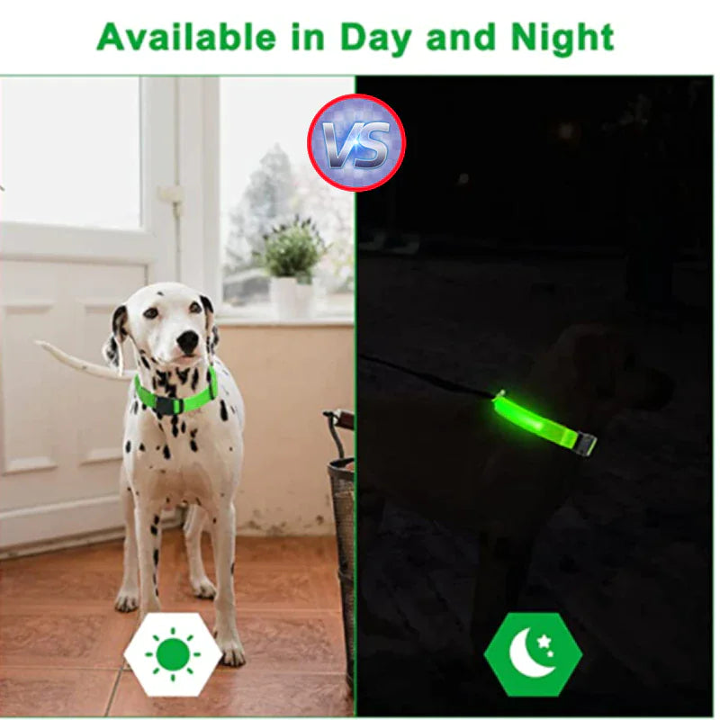 TrailPuppies™ LED Glow Safety Dog Collar
