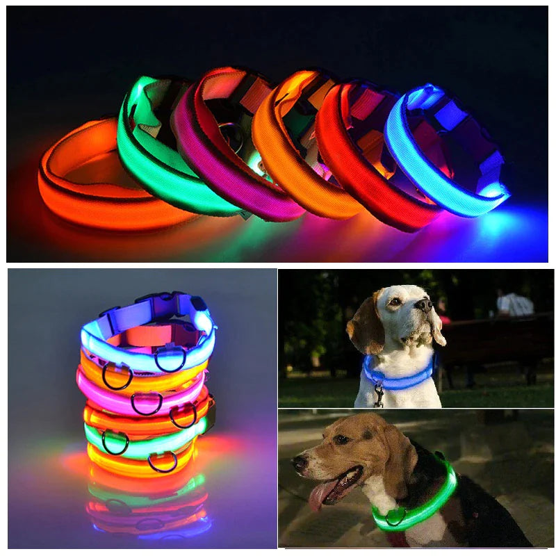 TrailPuppies™ LED Glow Safety Dog Collar