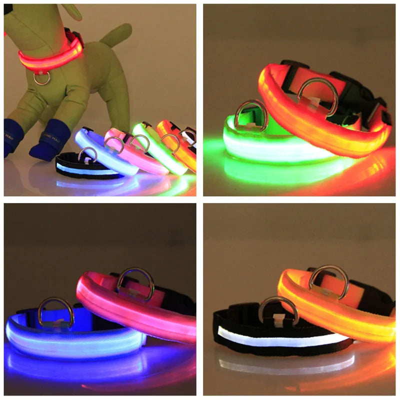 TrailPuppies™ LED Glow Safety Dog Collar