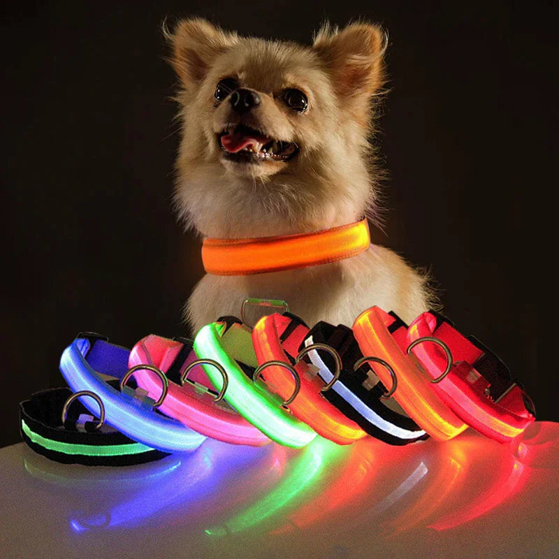 TrailPuppies™ LED Glow Safety Dog Collar