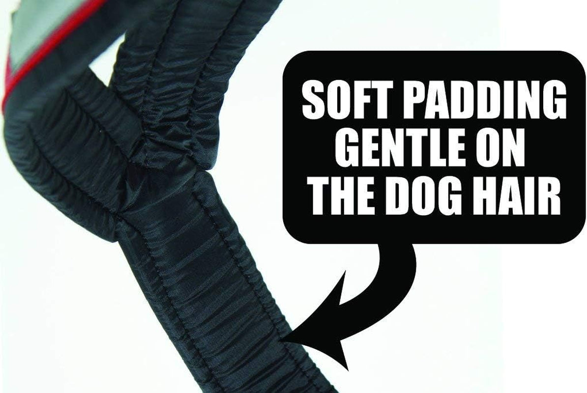 Pro Sled Dog Harness (Blue, Small (Neck 16 Chest 26 Back18))