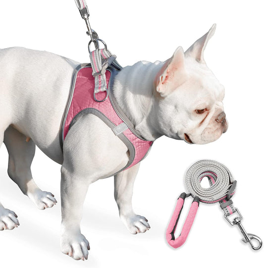 Dog Harness, Dog Harness and Leash Set, Pet Vest Harness, Puppy Cat Vest Harness Escape Proof, Chihuahua Harness, XXS Puppy Harness, Dog Vest Harnesses for Small Dogs Cats (A-1-PINK XS)
