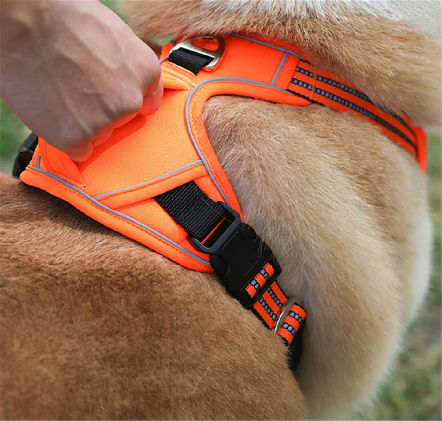 TrailPuppies™ No-Pull Adventure Harness