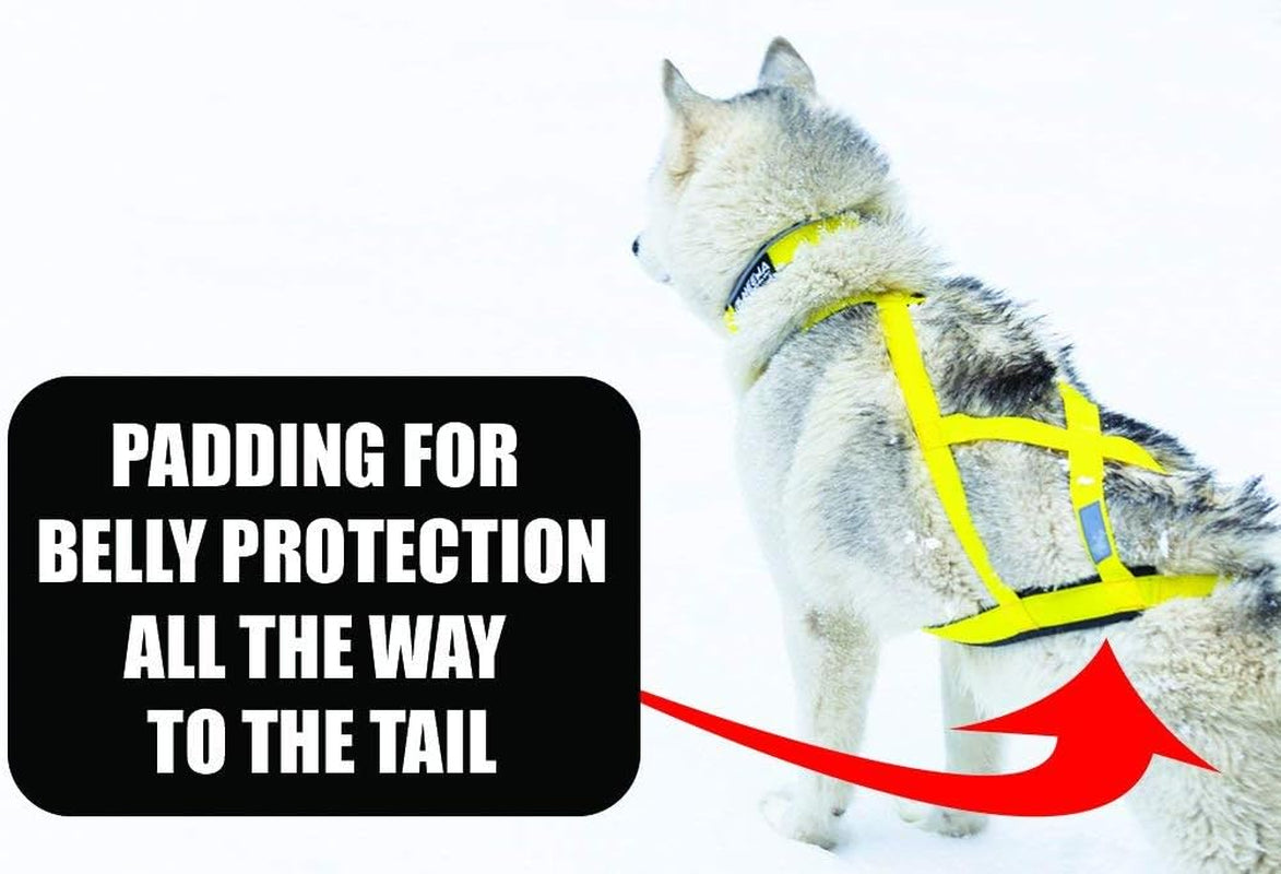 Pro Sled Dog Harness (Blue, Small (Neck 16 Chest 26 Back18))