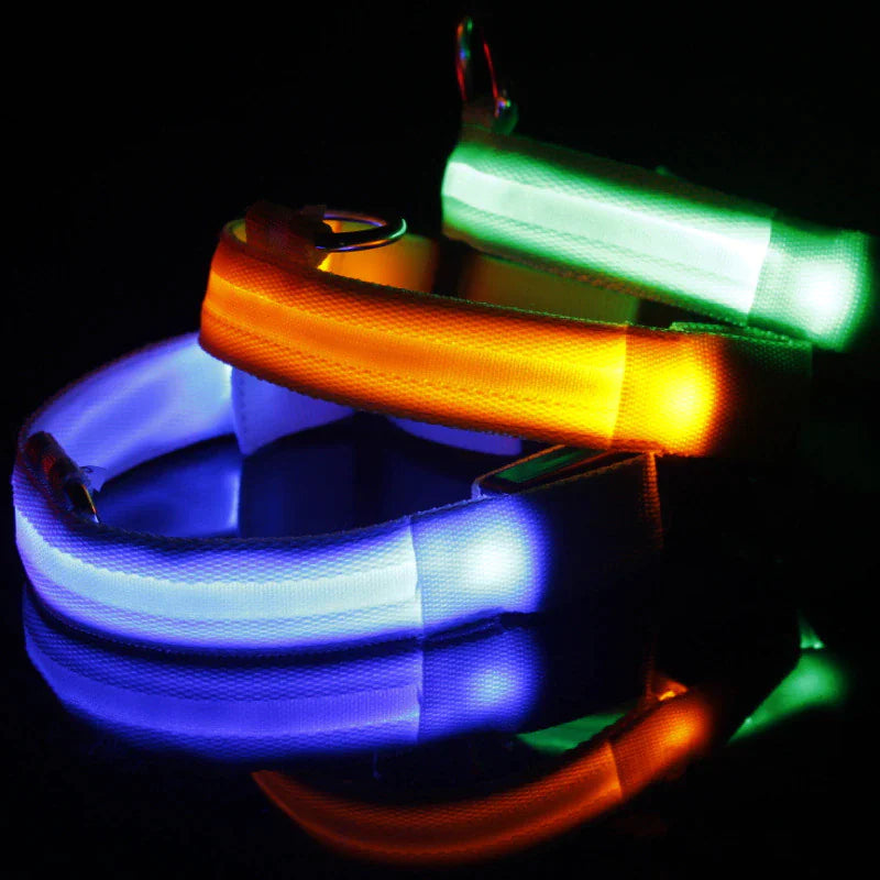 TrailPuppies™ LED Glow Safety Dog Collar