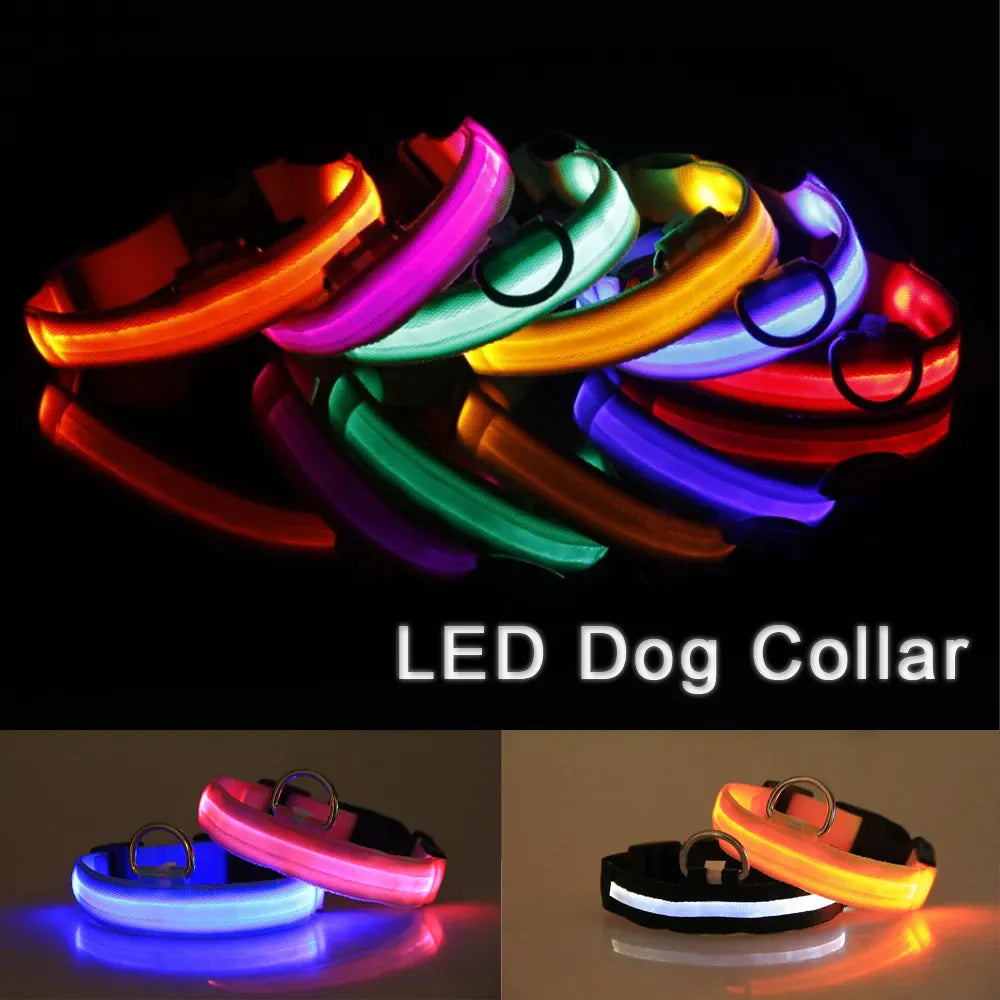TrailPuppies™ LED Glow Safety Dog Collar