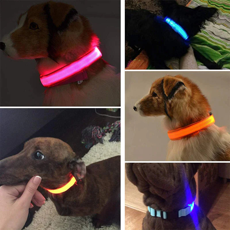 TrailPuppies™ LED Glow Safety Dog Collar