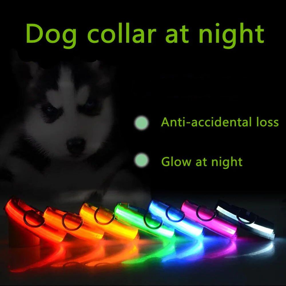 TrailPuppies™ LED Glow Safety Dog Collar
