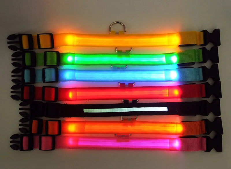 TrailPuppies™ LED Glow Safety Dog Collar