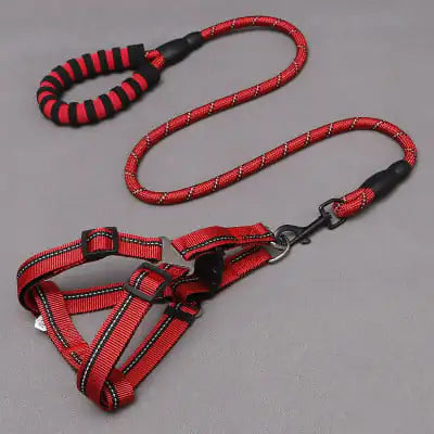 Dog Leash and Chest Harness for Pet Supplies