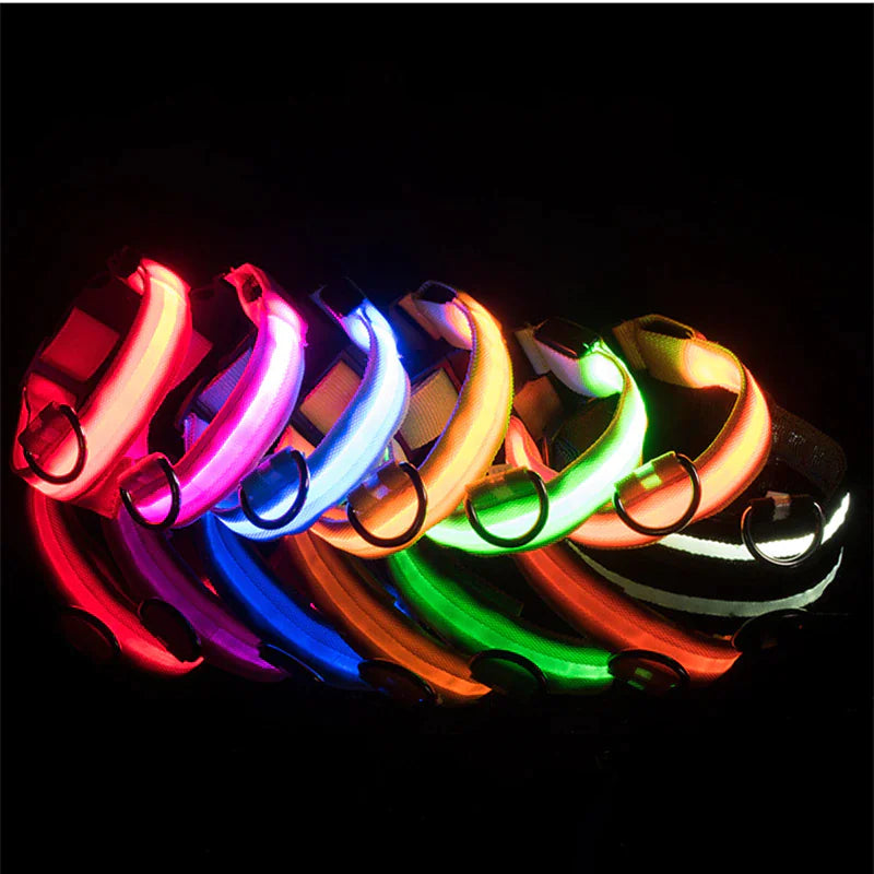 TrailPuppies™ LED Glow Safety Dog Collar