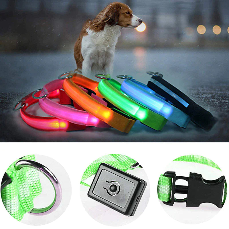 TrailPuppies™ LED Glow Safety Dog Collar