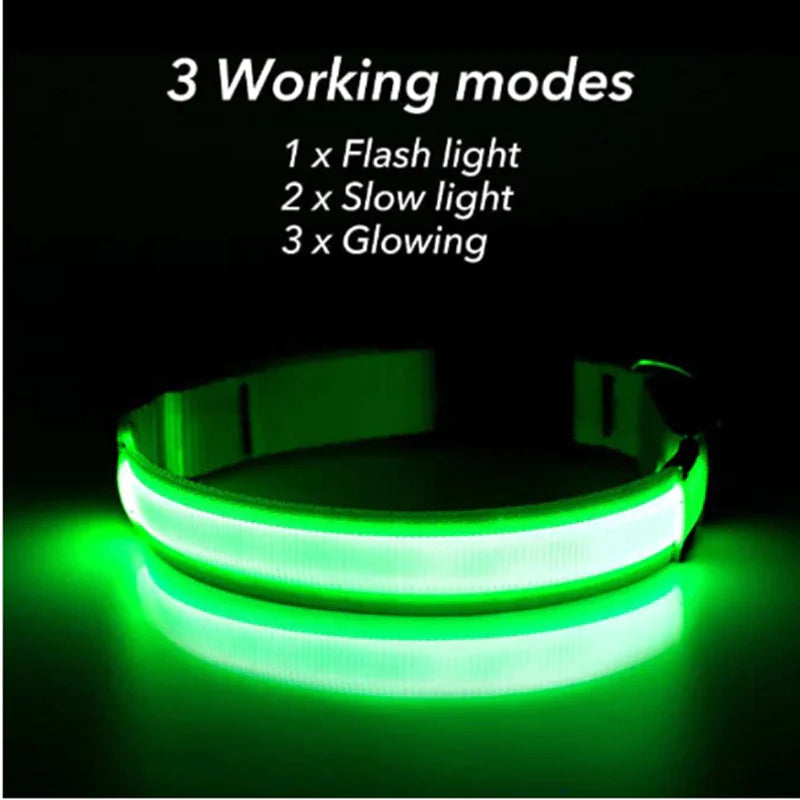 TrailPuppies™ LED Glow Safety Dog Collar