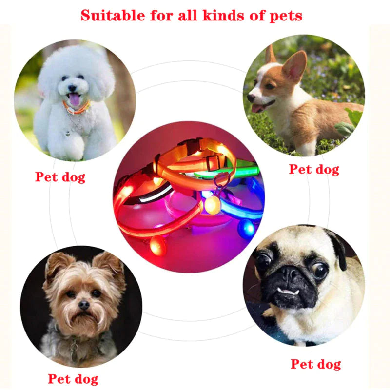 TrailPuppies™ LED Glow Safety Dog Collar