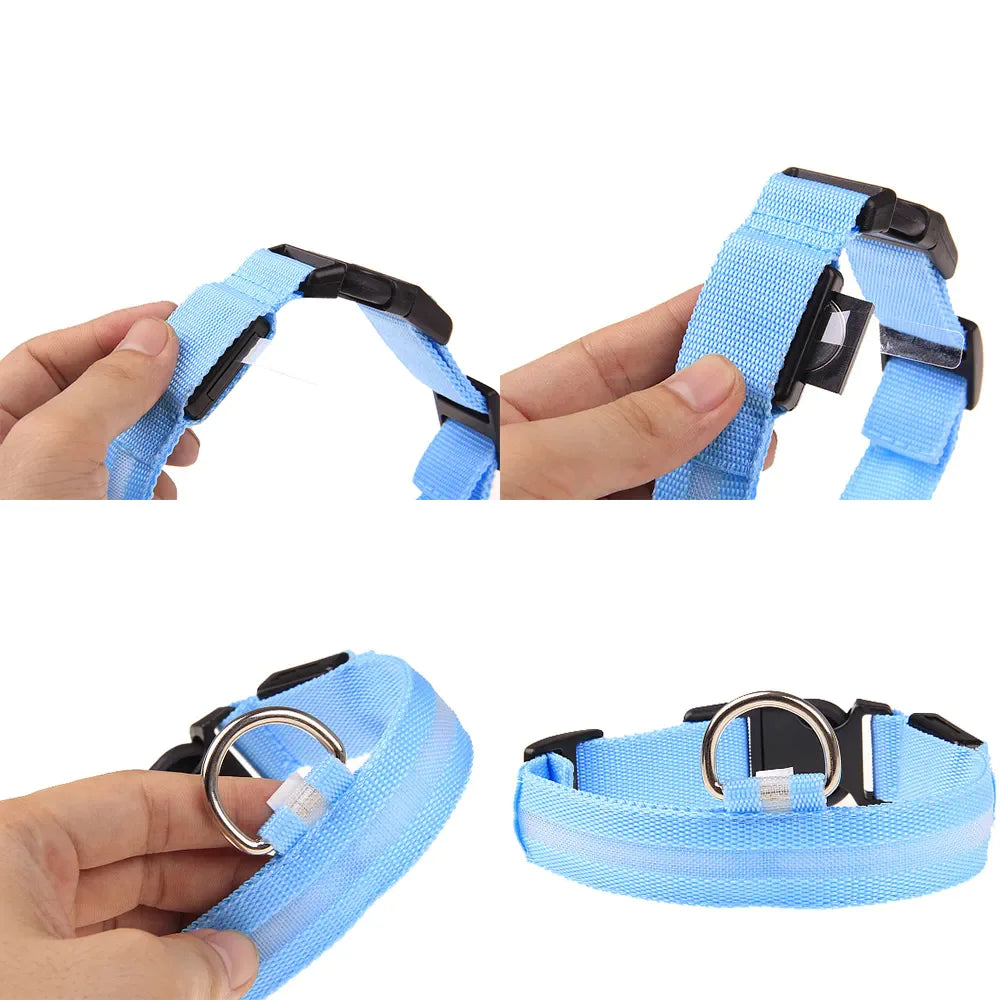 TrailPuppies™ LED Glow Safety Dog Collar