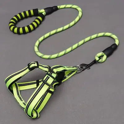 Dog Leash and Chest Harness for Pet Supplies